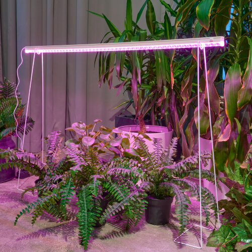 ULI-P57-30W-SPBR IP20 WHITE Светильник для растений светодиодный линейный, 1173мм, выкл, на корпусе, Пластик, Спектр для рассады и досвечивания в период роста, TM ФитоЛето - фото 6