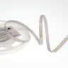 Светодиодная лента Class Premium, 2835, 64 led/m, white, 24V, IP33, RN01 - фото II