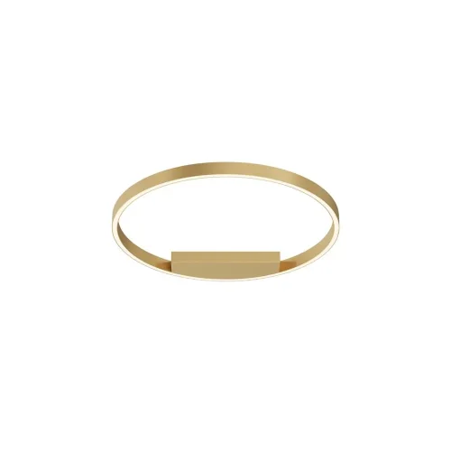 Потолочный светильник Rim 2600-3500К 35Вт (Латунь) - фото