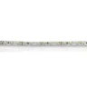 Светодиодная лента Standart class, 3528, 120led/m, White, 12V, IP20, G19 - фото II