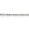 Светодиодная лента Standart class, 3528, 120led/m, White, 12V, IP20, G19 - фото II