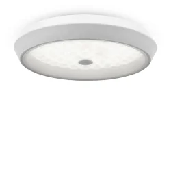 Потолочный светильник Freya FR10012CL-L24W (Белый)