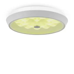 Потолочный светильник Freya FR10012CL-L24W (Белый)