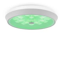 Потолочный светильник Freya FR10012CL-L24W (Белый)