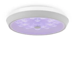 Потолочный светильник Freya FR10012CL-L24W (Белый)