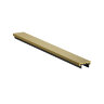 TR5736-SB Декоративная заглушка желоба трека SHINE BASE, 20см, сатинированная латунь, алюминий.