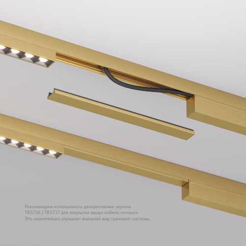 TR5736-SB Декоративная заглушка желоба трека SHINE BASE, 20см, сатинированная латунь, алюминий. Фото 4