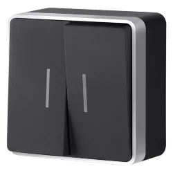 Выключатель двухклавишный с подсветкой Gallant черный с серебром W5020134 W5020134