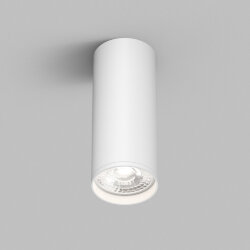 Накладной светильник Denkirs TUBE | ТЬЮБ , Denkirs DK2051-WH