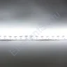 Светодиодная лента LUX class, 5050, 120 led/m, White, 24V, IP20 - фото 3.