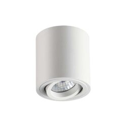 Потолочный накладной светильник «ODEON LIGHT» 3567/1C, серия: TUBORINO (крепление на планке)