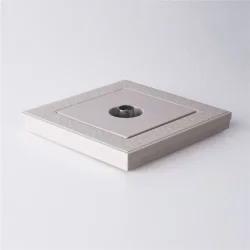 ТВ розетка оконечная  (слоновая кость) W1183003