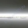 Светодиодная лента Standart class 3528, 120 led/m, Day White, 24V, IP20, G159 - фото 2.