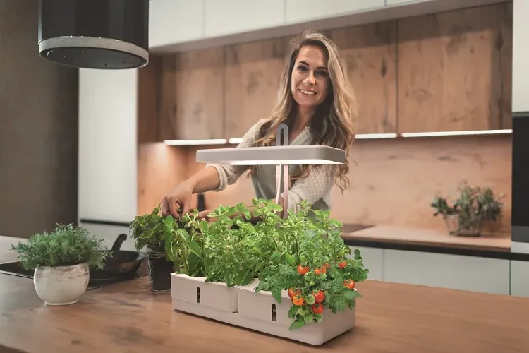 Светильник светодиодный для рассады 20W | INDOOR GARDEN KIT | - LEDVANCE. Фото 5