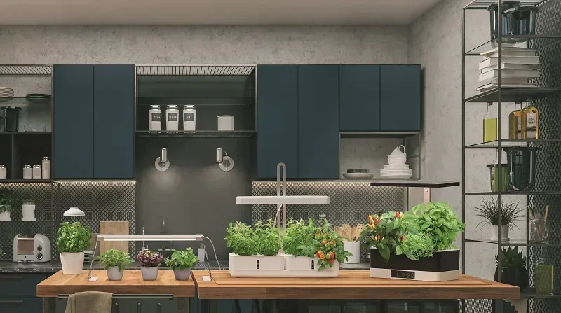 Светильник светодиодный для рассады 20W | INDOOR GARDEN KIT | - LEDVANCE. Фото 3