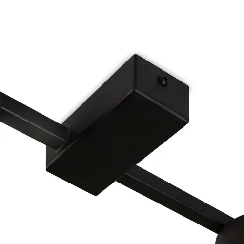 Потолочный светильник Тактик / Tactic (Черный) FR5363CL-02B - фото 8