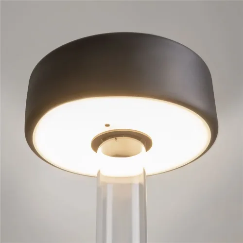 Аккумуляторный светильник AI Collaboration 2200-4000К 3Вт (Прозрачный) - фото 9