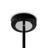 Люстра FR5328CL-06B Флористический / Floristic G9x6 (Черный) FR5328CL-06B - фото 11