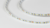 Светодиодная лента 2835, 120 LED/м, 9,6 Вт/м, 24В , IP20, 3M, Цвет: Холодный белый, SWG2120-24-9.6-W-M. Фото 2