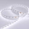 Светодиодная лента RT 2-5000 24V White6000 (3528, 300 LED, LUX) (Arlight, 4.8 Вт/м, IP20) - фото 2