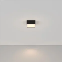 Потолочный светильник Зон / Zon 12 Вт 3000 К 120° (Черный) C067CL-L12B3K