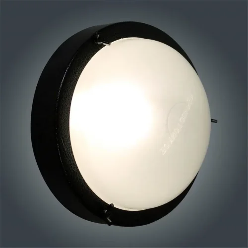 Светильник НББ 03-60-003 'Терма 3' 1х60Вт E27 IP65 корпус серебро (инд. упак.) Элетех 1005500583 - фото 5