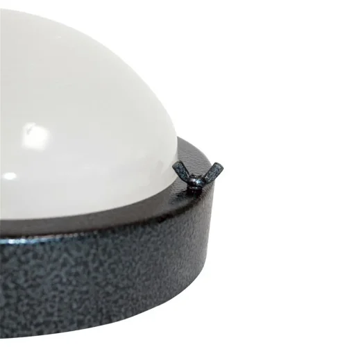 Светильник НББ 03-60-003 'Терма 3' 1х60Вт E27 IP65 корпус серебро (инд. упак.) Элетех 1005500583 - фото 3