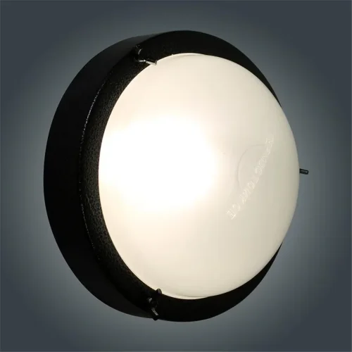 Светильник НББ 03-60-003 'Терма 3' 1х60Вт E27 IP65 корпус серебро (инд. упак.) Элетех 1005500583 - фото 5