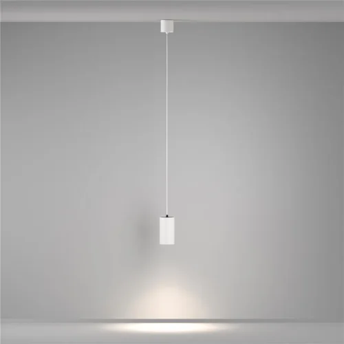 Подвесной светильник Вол / Vol 4000К 20Вт (Белый) P100PL-20W4K-W - фото 8