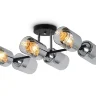 Люстра FR5226PL-06B Двойной / Dual E27x6 (Черный) FR5226PL-06B - фото 8