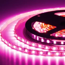 Лента светодиодная ELF, 480SMD (2835), 12В, 120град, 5м, розовая