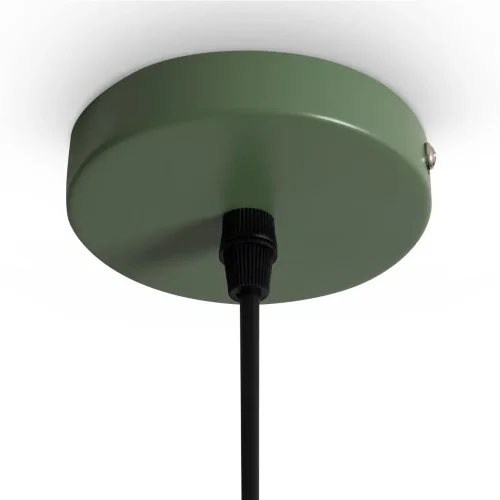 Подвесной светильник Freya FR6185PL-L5GN (Зеленый) - фото 4