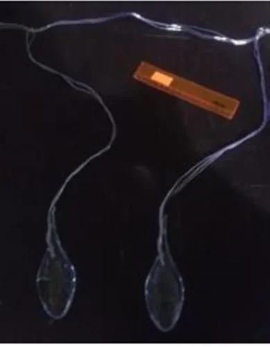 Гирлянда светодиодная Led Deco Light Bead-S-24V. Фото 1.