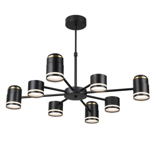 Люстра на штанге «LUMION» 8234/8C, серия: VIRSAVA (крепление на планке). Фото 2.