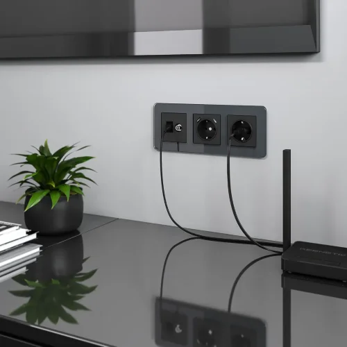 Розетка ТВ+Ethernet RJ-45 6 cat. (черный матовый) W1181308 - фото 3