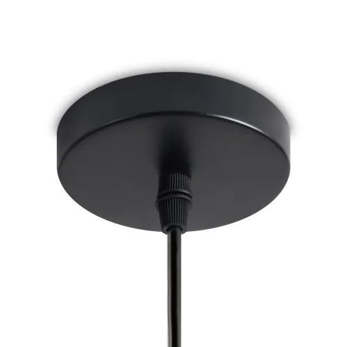 Подвесной светильник Freya FR5551PL-01M (Черный) - фото 2