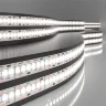 Светодиодная лента 24 В 24 Вт/м 240 Led/м 2835 IP20, дневной белый 4200K, 5 м Лента светодиодная 24V 24W 240Led 2835 IP20 дневной белый, 5м - фото