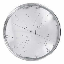 Светодиодный светильник Luminarte CLL3672W-PYXIS 72Вт с ПДУ