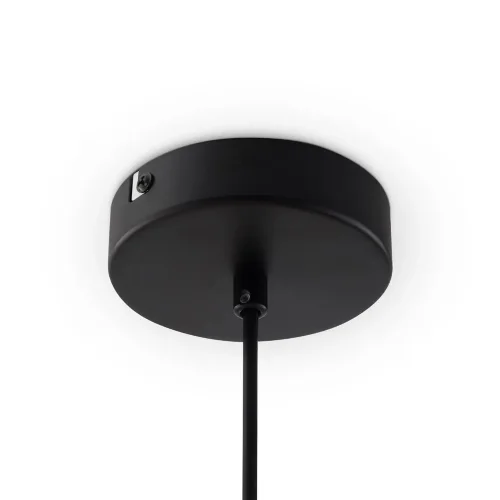 Подвесной светильник Freya FR5372PL-02B (Черный) - фото 5