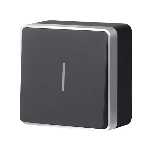 Выключатель одноклавишный с подсветкой Gallant черный с серебром W5010134 W5010134 - фото