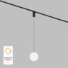 Светильник на шине Denkirs SMART MOON | СМАРТ МУН DK8052-BK.