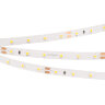 Светодиодная лента RT 2-5000 24V White6000 (3528, 300 LED, LUX) (Arlight, 4.8 Вт/м, IP20) - фото 1