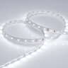 Светодиодная лента RT 2-5000 24V White6000 (3528, 300 LED, LUX) (Arlight, 4.8 Вт/м, IP20) - фото 2