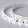 Светодиодная лента RT 2-5000 24V White6000 (3528, 300 LED, LUX) (Arlight, 4.8 Вт/м, IP20) - фото 3