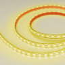 Светодиодная лента герметичная RTW-PFS-B60-13mm 12V Yellow (14.4 W/m, IP68, 5060, 5m) (Arlight, 14.4 Вт/м, IP68) 036291 - фото