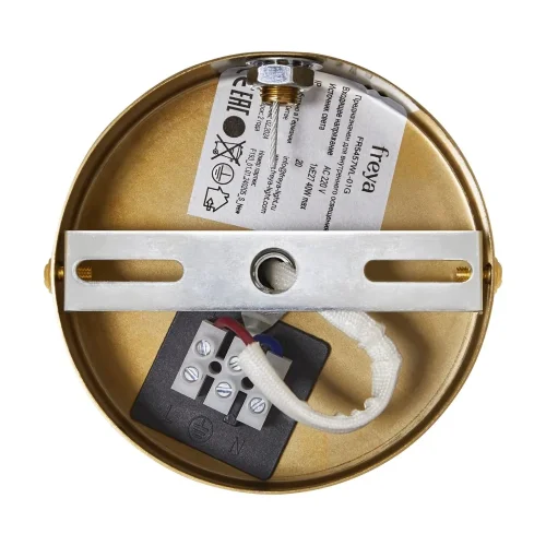 Настенный светильник (бра) FR5457WL-01G Космический / Cosmic E27x1 (Золото) FR5457WL-01G - фото 11