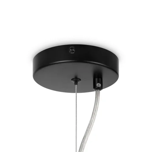 Подвесной светильник Maytoni MOD545PL-24B (Черный) - фото 6