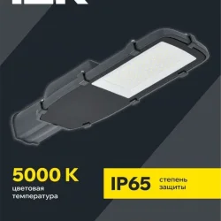 Светильник светодиодный ДКУ 1002-100Д 5000К IP65 уличный консольный сер. IEK LDKU0-1002-100-5000-K03