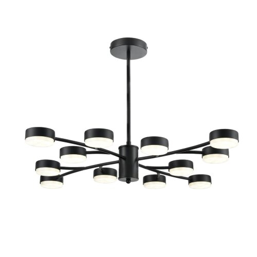 Люстра «LUMION» 8117/12, серия: TORINA (крепление на планке). Фото 2.