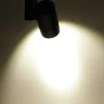 Светодиодный светильник трековый GDD087 2L PX40 (30W, 220V, day white) - фото II